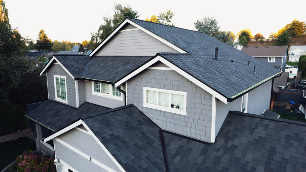 Metal Roofing