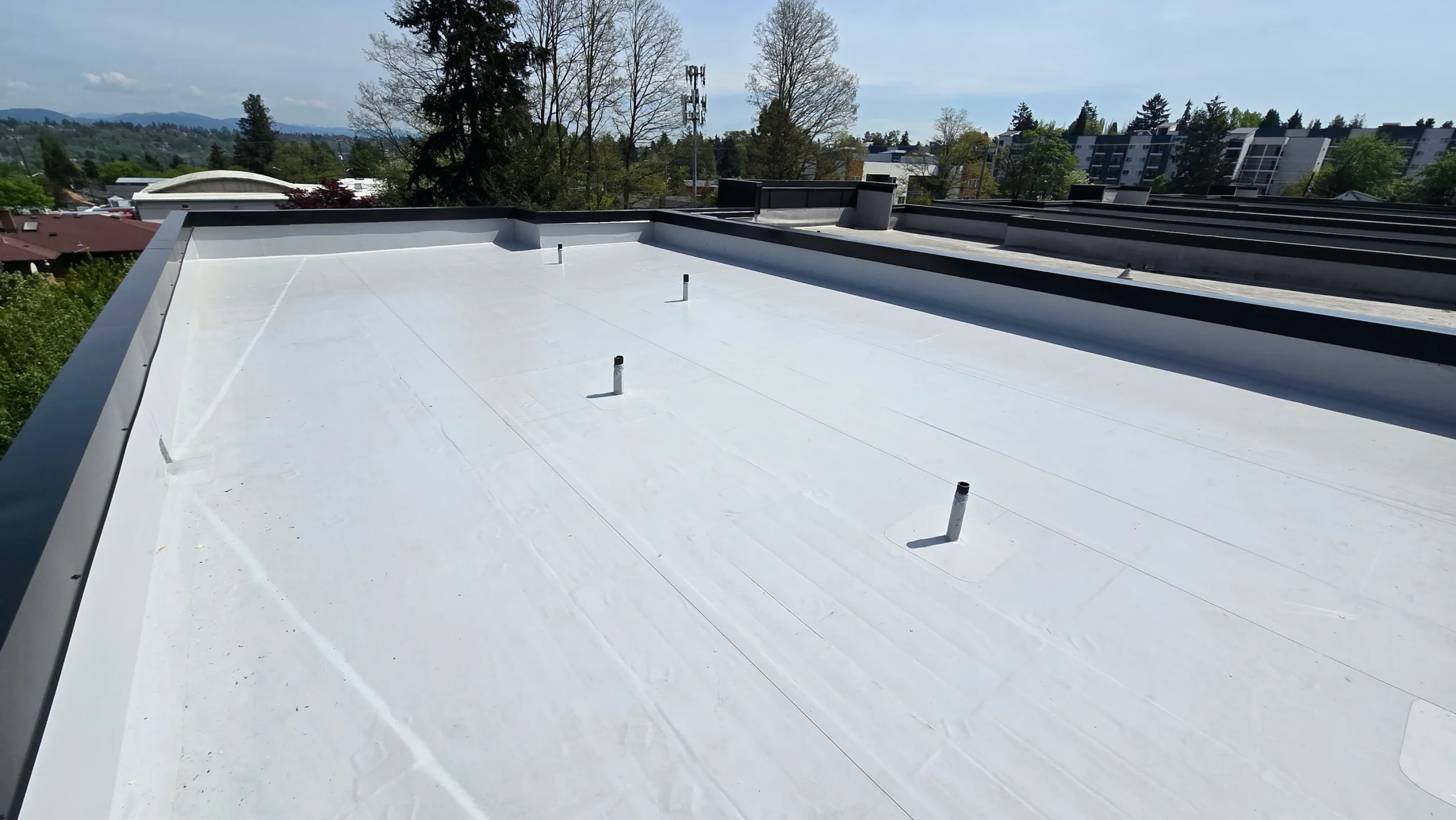 Ian Lugo flat roof - surface