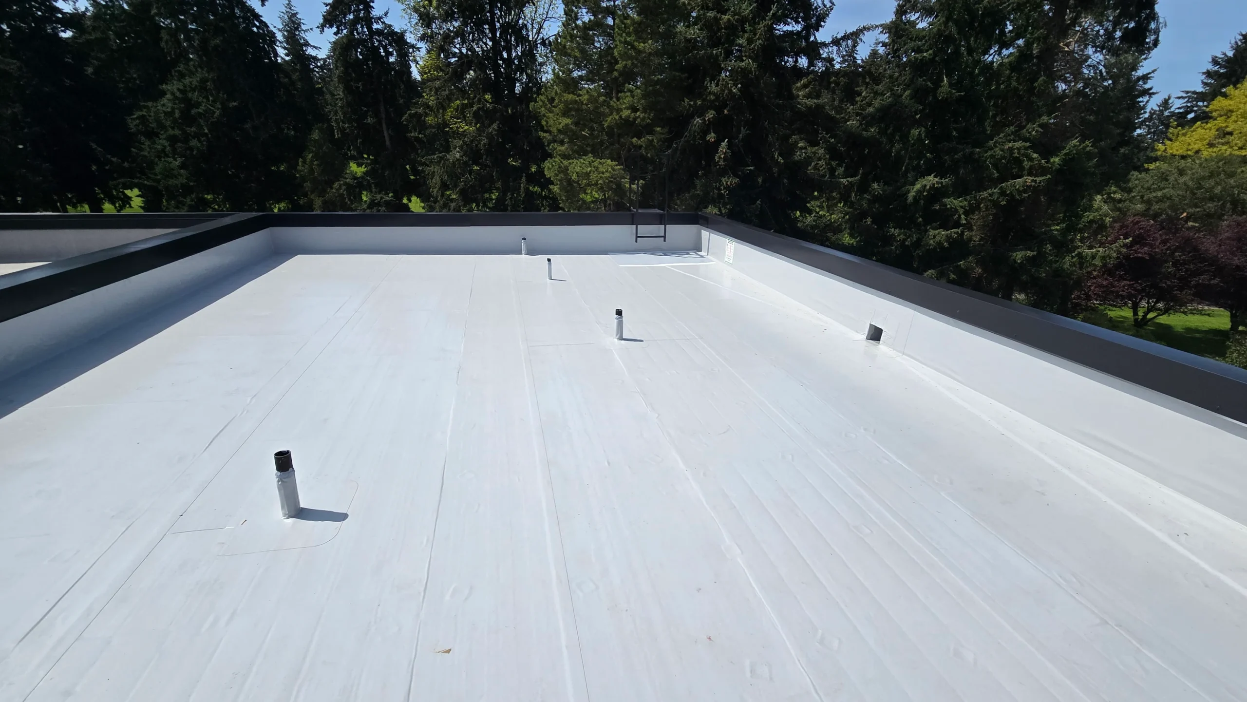 Ian Lugo flat roof - completed